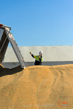 VITERRA 2013 / VITERRA_WALLAROO_196_140829