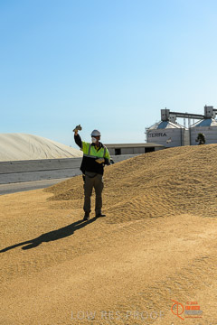 VITERRA 2013 / VITERRA_WALLAROO_208_140829