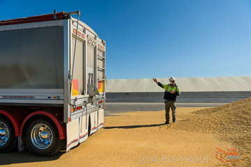 VITERRA 2013 / VITERRA_WALLAROO_216_140829
