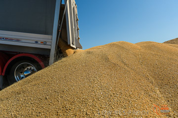 VITERRA 2013 / VITERRA_WALLAROO_231_140829