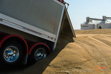 VITERRA 2013 / VITERRA_WALLAROO_240_140829