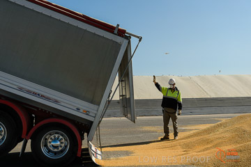 VITERRA 2013 / VITERRA_WALLAROO_244_140829