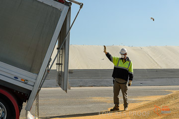 VITERRA 2013 / VITERRA_WALLAROO_245_140829