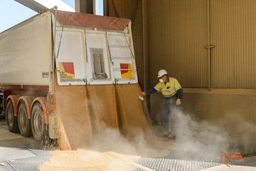 VITERRA 2013 / VITERRA_WALLAROO_257_140829