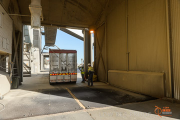 VITERRA 2013 / VITERRA_WALLAROO_285_140829