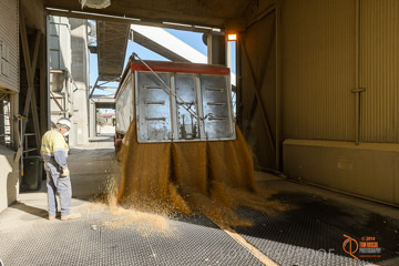 VITERRA 2013 / VITERRA_WALLAROO_295_140829