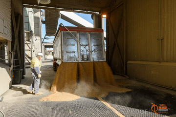 VITERRA 2013 / VITERRA_WALLAROO_298_140829