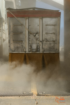 VITERRA 2013 / VITERRA_WALLAROO_304_140829