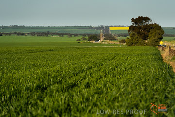 VITERRA 2013 / VITERRA_WALLAROO_332_140829