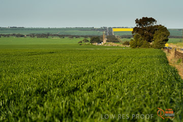 VITERRA 2013 / VITERRA_WALLAROO_334_140829