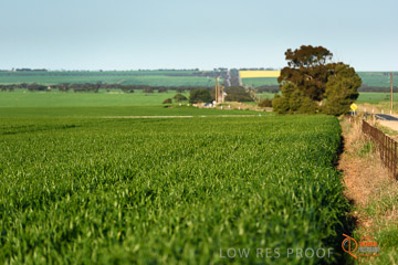 VITERRA 2013 / VITERRA_WALLAROO_359_140829