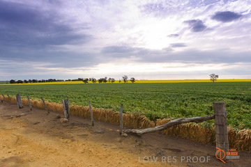 VITERRA 2013 / VITERRA_GLENVALE_FARMS_002_140908