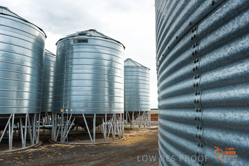 VITERRA 2013 / VITERRA_GLENVALE_FARMS_057_140909