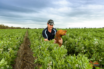 VITERRA 2013 / VITERRA_GLENVALE_FARMS_092_140909