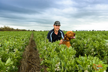VITERRA 2013 / VITERRA_GLENVALE_FARMS_093_140909