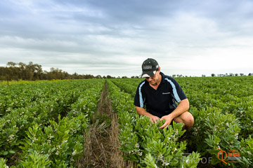 VITERRA 2013 / VITERRA_GLENVALE_FARMS_100_140909