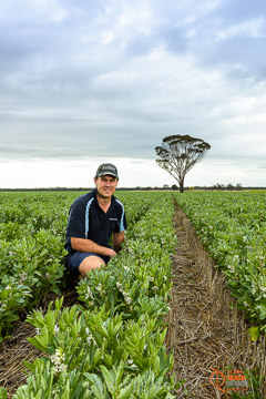 VITERRA 2013 / VITERRA_GLENVALE_FARMS_106_140909