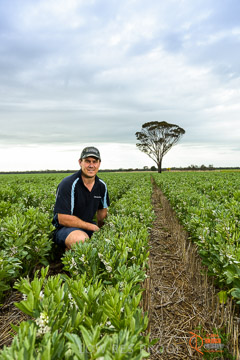 VITERRA 2013 / VITERRA_GLENVALE_FARMS_107_140909