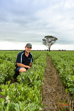 VITERRA 2013 / VITERRA_GLENVALE_FARMS_111_140909