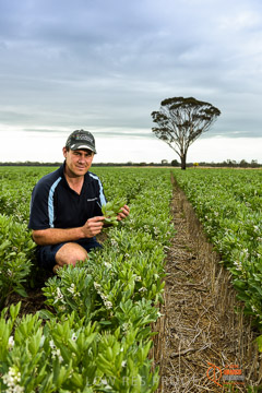 VITERRA 2013 / VITERRA_GLENVALE_FARMS_115_140909