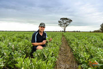 VITERRA 2013 / VITERRA_GLENVALE_FARMS_117_140909