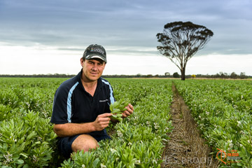 VITERRA 2013 / VITERRA_GLENVALE_FARMS_118_140909