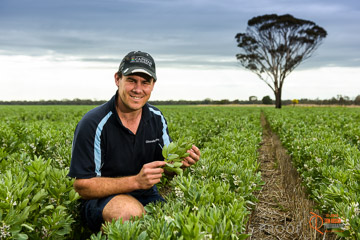 VITERRA 2013 / VITERRA_GLENVALE_FARMS_121_140909