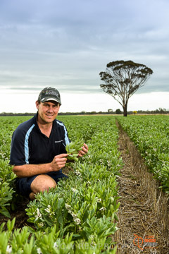 VITERRA 2013 / VITERRA_GLENVALE_FARMS_123_140909