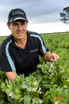 VITERRA 2013 / VITERRA_GLENVALE_FARMS_129_140909