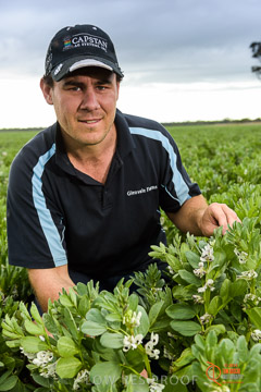 VITERRA 2013 / VITERRA_GLENVALE_FARMS_131_140909