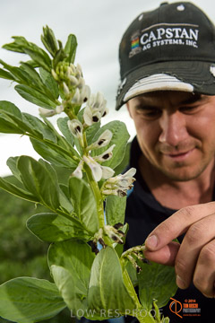 VITERRA 2013 / VITERRA_GLENVALE_FARMS_138_140909