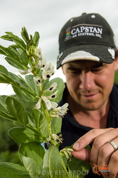 VITERRA 2013 / VITERRA_GLENVALE_FARMS_139_140909