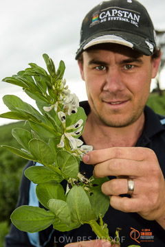 VITERRA 2013 / VITERRA_GLENVALE_FARMS_142_140909