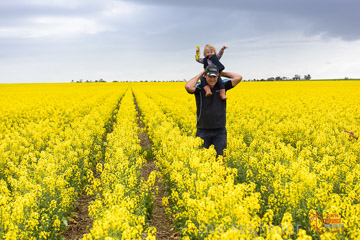 VITERRA 2013 / VITERRA_GLENVALE_FARMS_157_140909
