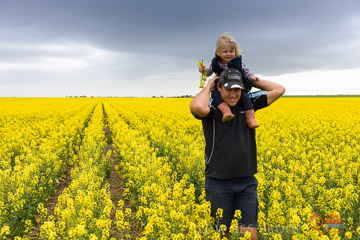 VITERRA 2013 / VITERRA_GLENVALE_FARMS_160_140909