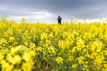 VITERRA 2013 / VITERRA_GLENVALE_FARMS_161_140909