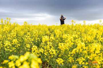 VITERRA 2013 / VITERRA_GLENVALE_FARMS_162_140909