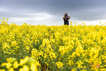 VITERRA 2013 / VITERRA_GLENVALE_FARMS_163_140909