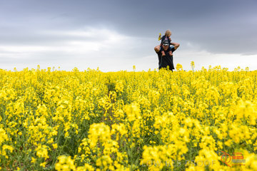 VITERRA 2013 / VITERRA_GLENVALE_FARMS_171_140909