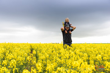 VITERRA 2013 / VITERRA_GLENVALE_FARMS_173_140909