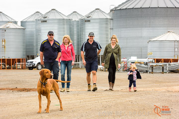 VITERRA 2013 / VITERRA_GLENVALE_FARMS_180_140909