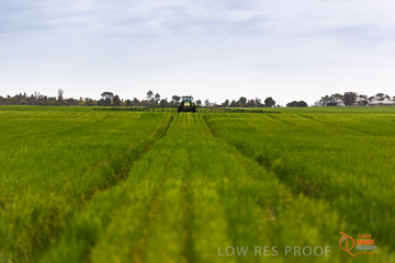 VITERRA 2013 / VITERRA_GLENVALE_FARMS_203_140909