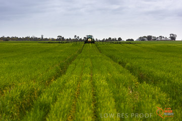 VITERRA 2013 / VITERRA_GLENVALE_FARMS_206_140909