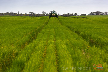 VITERRA 2013 / VITERRA_GLENVALE_FARMS_207_140909