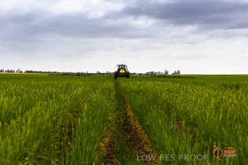 VITERRA 2013 / VITERRA_GLENVALE_FARMS_210_140909