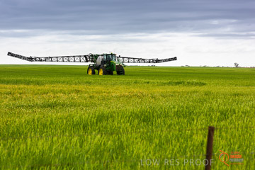 VITERRA 2013 / VITERRA_GLENVALE_FARMS_224_140909