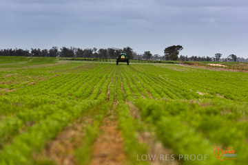 VITERRA 2013 / VITERRA_GLENVALE_FARMS_229_140909
