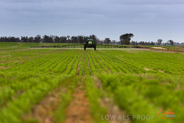 VITERRA 2013 / VITERRA_GLENVALE_FARMS_230_140909