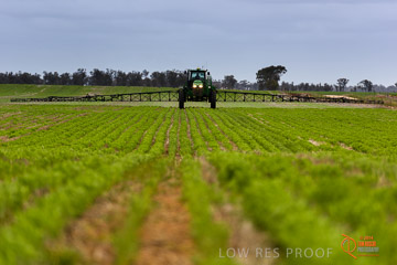 VITERRA 2013 / VITERRA_GLENVALE_FARMS_232_140909