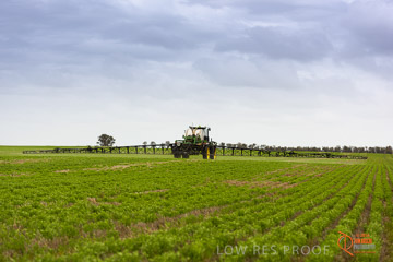 VITERRA 2013 / VITERRA_GLENVALE_FARMS_235_140909